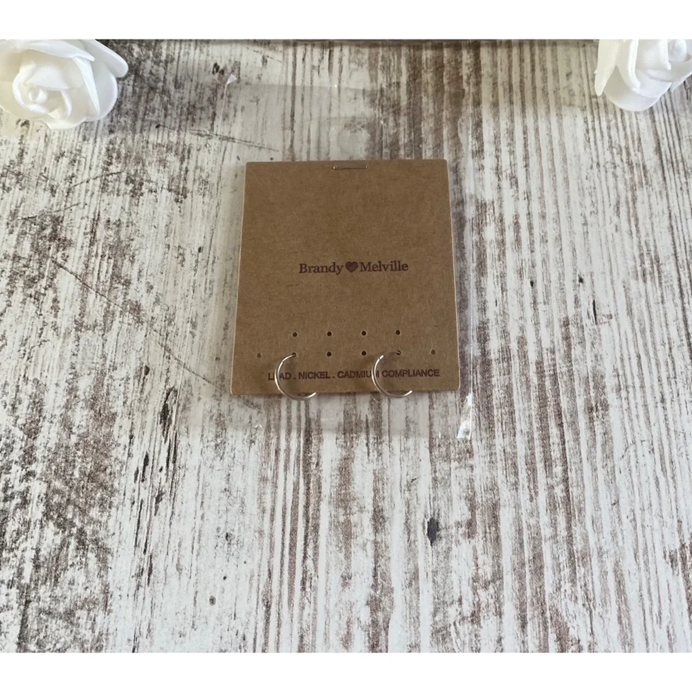 NWT Brandy Melville earrings - Picture 1 of 1
